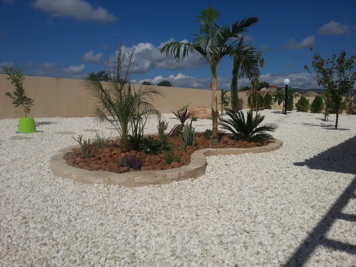 Gravel garden with palms and planting