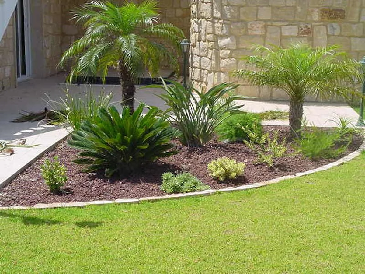 Garden with round topiary shrubs